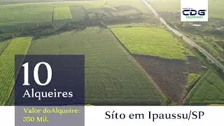 Sítio 10 Alqueires - Ipaussu/SP