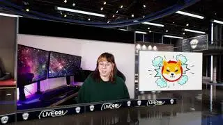 Shiba Inu Coin Surge | Metaverse News Network