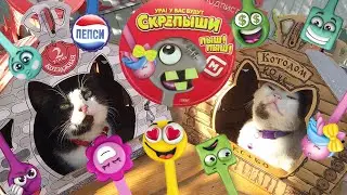 Staples in Magnet and challenge for Cats