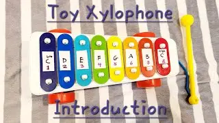 Introduction to the toy xylophone!