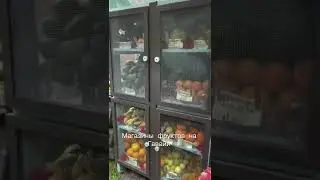 Самообслуживание 🍎🍌🥥🥝🍑🥭 