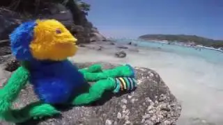 Willkommen bei ViPaG Films (Kinderdokumentationen) Full HD