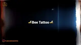 ТАТУ мого Життя / FABRO