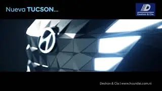 Hyundai Nic - Deshon & Cia