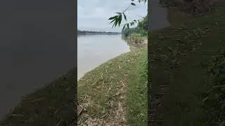 Natural 🌟🌟🌟🤢🌟🌟