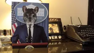 The President We All Need | Crown and Paw Review