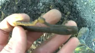 Коп под Борисполем