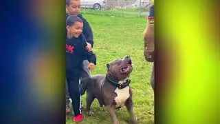 Hero Animals That Saved Human Lives !