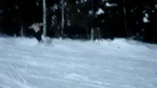 snowboard 2