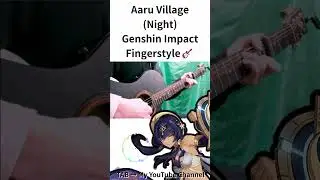 [Genshin Impact] Aaru Village (Night) [solo guitar] 