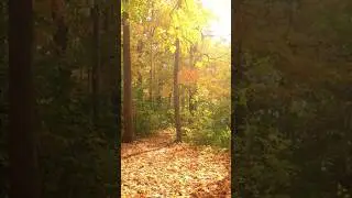spending time in nature keeps you grounded! 