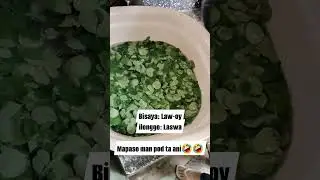 Gulay x law-oy x laswa😃