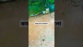 কান্না চলে আসলো 😭 #motivation #reels #azan #quran #dua