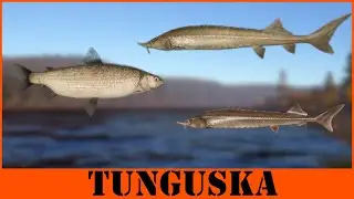 Tunguska River SPOT RF4 #40 Russian Fishing 4