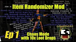 D2 Randomizer Mod w/ 10x Loot Drops. Play Through Norm |  L18 Holy Frost  [100% Rand Item Mods Ep1]