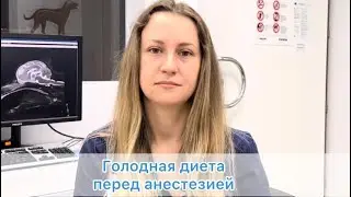 Голодная диета перед анестезией