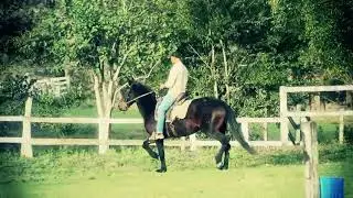 HARAS TODAY - TESOURINHA DO MARAMA