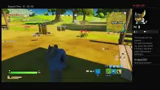 Fornite with Kitty and the bad ass sneaky boxes!!!