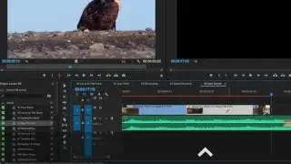 Premiere Pro CC 2017 Using the Rate Stretch Tool