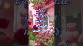 #доброеутро
