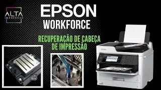 Recuperação de Cabeça Epson Workforce
