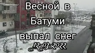 Весной в Батуми выпал снег! 12.03.2022.#батуми #грузия #снег Грузия Снег Снегопад весной Март