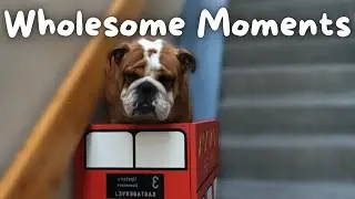 This IDEA could be WORTH MILLIONS 😱 | Wholesome Moments