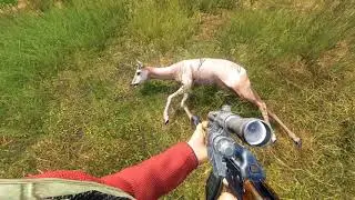 DayZ 0.63 - Олени на стресс-тестировании.