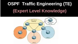 OSPF  Traffic Engineering (TE) |  | Real Life networking skills