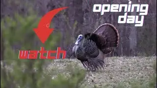 Opening Day Georgia Gobbler | Shots Fired!!!