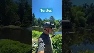 #victoriabc