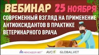 Вебинар "Современный взгляд на применение антиоксидантов в практике ветеринарного врача"