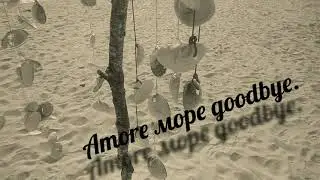 Ливадия Приморский край . Amore море goodbye.