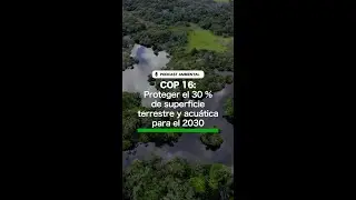 Proteger del 30% de superficie terrestre y acuática será uno de los temas centrales en COP16