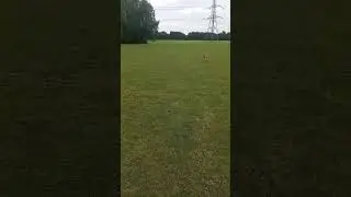 Breaks on hard for that one