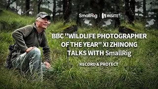 BBC 