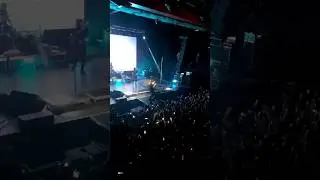 концерт Neverlove