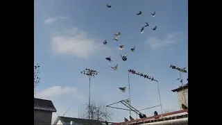 Будни февраля. Раздумья