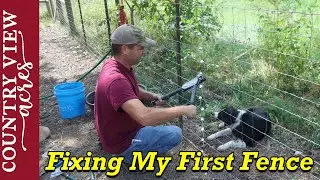 Fixing a loose piece of field fencing at the barnyard.