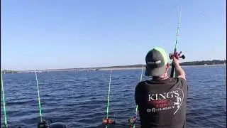 Catfishing guide trailer #catfish #fishing #trending