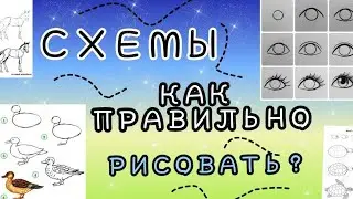 Схемы | как рисовать правильно и легко ?
