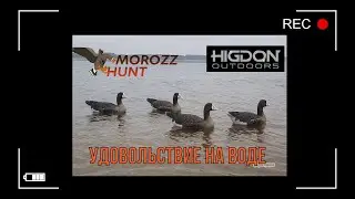 Плавающий шедевр!!! Белолобый гусь и гуменник!