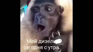 Старый дизель с утра