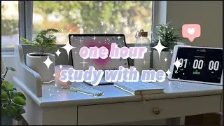 one hour study with me, real time, chill lofi music