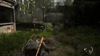 Dina xd