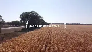 Поездка на Домбай