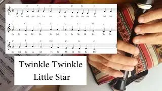 Twinkle twinkle little Star 05#sopranorecorder #easy #learning #music #songs
