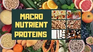 Macronutrient- Protein [Functions, Requirements,amino acids,whey protein,sources]