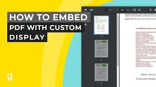 How to embed PDF with Custom Display | EASY