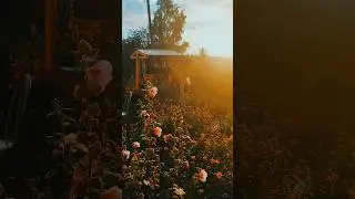 Особая атмосфера деревни